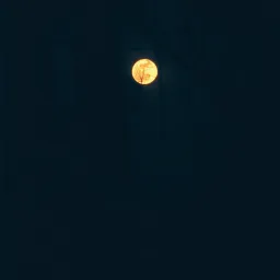 Lost in the Dark