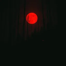 Dance with the Devils