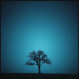 Silent Shadows