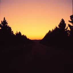 Backroad Memories