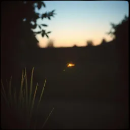 What Do You Think About Love