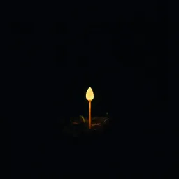 Not Alone
