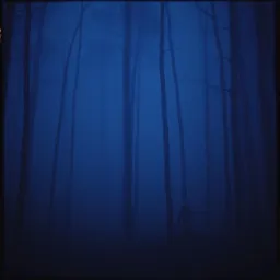 Echoes in the Haze
