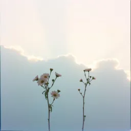 A Light in the Darkness