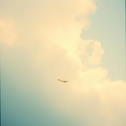 H.A.N.D. – Have A Nice Day