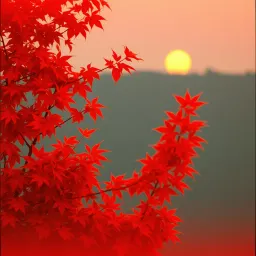 Autumn Vibe Groove