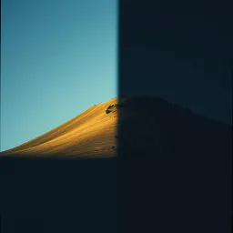 Duality