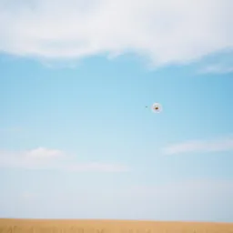 Beneath the Quiet Sky