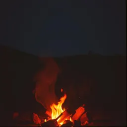 Quiet Fire