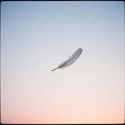 M'y angel