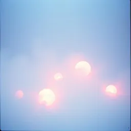 Echoes in the Mist