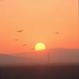 Wings of Hope