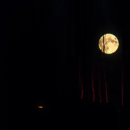 Dark Shadows of Love