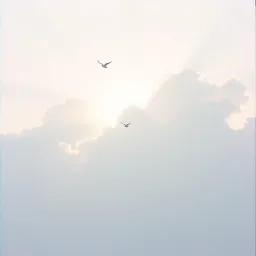 Deus o criador