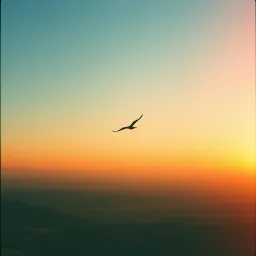 Ready to Fly