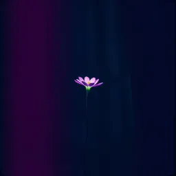 touchme