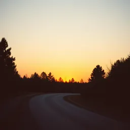 The Driveway