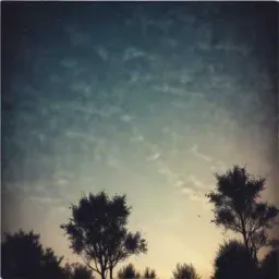 Dans l’ombre de mes pensées 