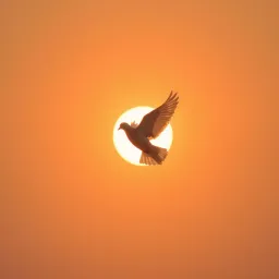 Gran Amor de Jesús, Maravillas sin Fin