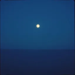 Bright Star in the Night