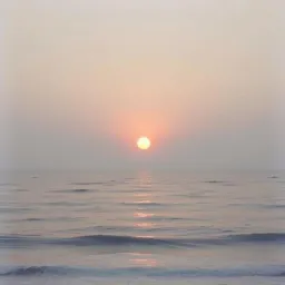 A Letter of Gratitude