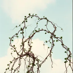 Fading Echoes of Us
