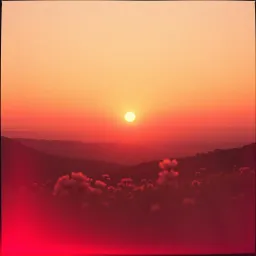 Chasing the Dawn