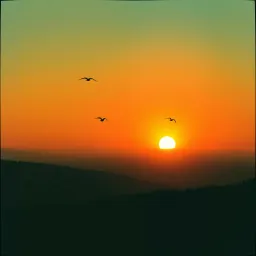 Boldog vagyok mert élek...
