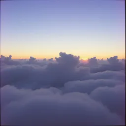 Angels Among Us