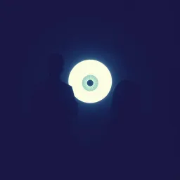 Eyes in the Shadows