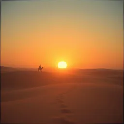 Promised Paradise