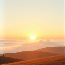 THE MORNING LIGHT