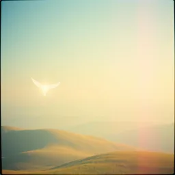 Angels of Hope