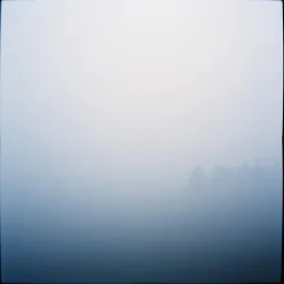 Silent Dawn