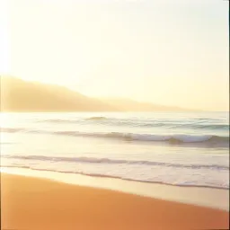 Light