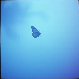 Blue dreamland