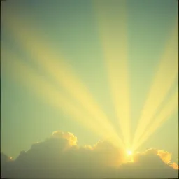 Tu presencia me da paz