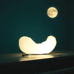 Walk into your dreams