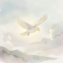 Little Bird
