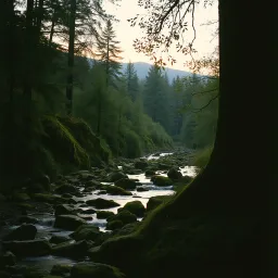 Přírodní vibe