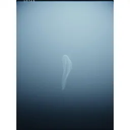 Silent Ghost
