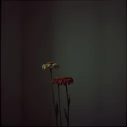 Broken Flowers