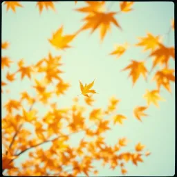 Seasons of Love