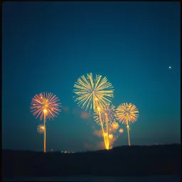 Kevin, My Fireworks