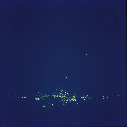 Under the Moonlight
