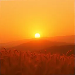 Psalm of the Sun