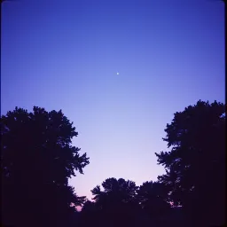Echoes of You