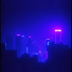 Shadows in Neon