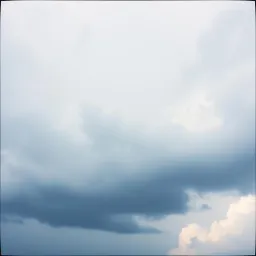 Whirlwind Heart