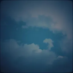 Moonlit Dreams